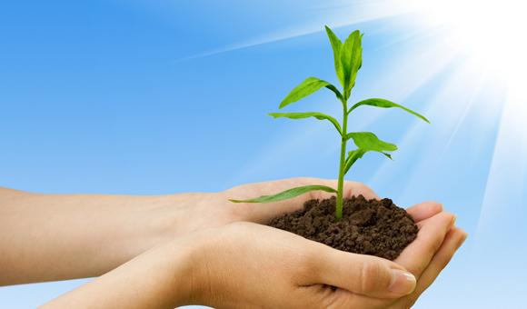 8868体育官网登录入口EDX光谱仪在环境标准HJ 780 -2015——《土壤和沉积物 无机元素的测量波长色散X射线荧光光谱法》上的应用方案