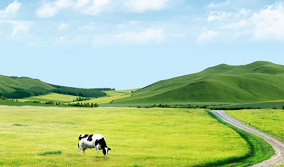 8868体育官网登录入口ICP3000在土壤监测中的应用解决方案