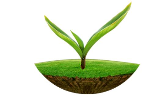 8868体育官网登录入口原子吸收及原子荧光在土壤监测中的应用解决方案