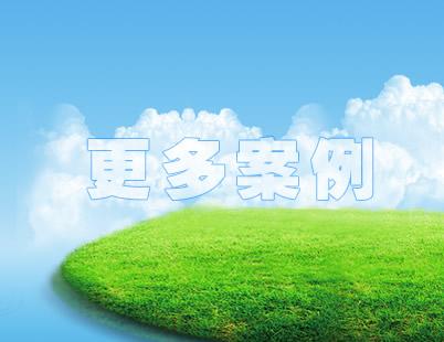 更多案例